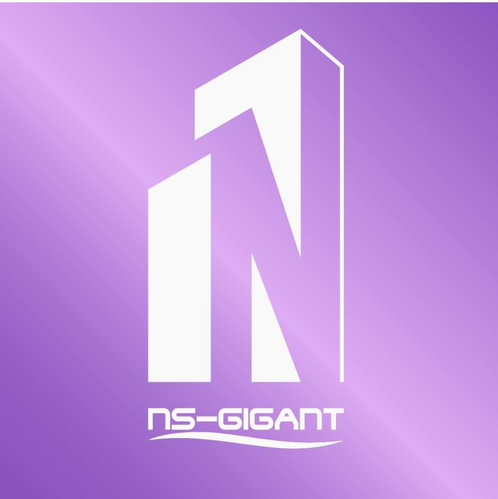 Ns gigant nekretnine log2