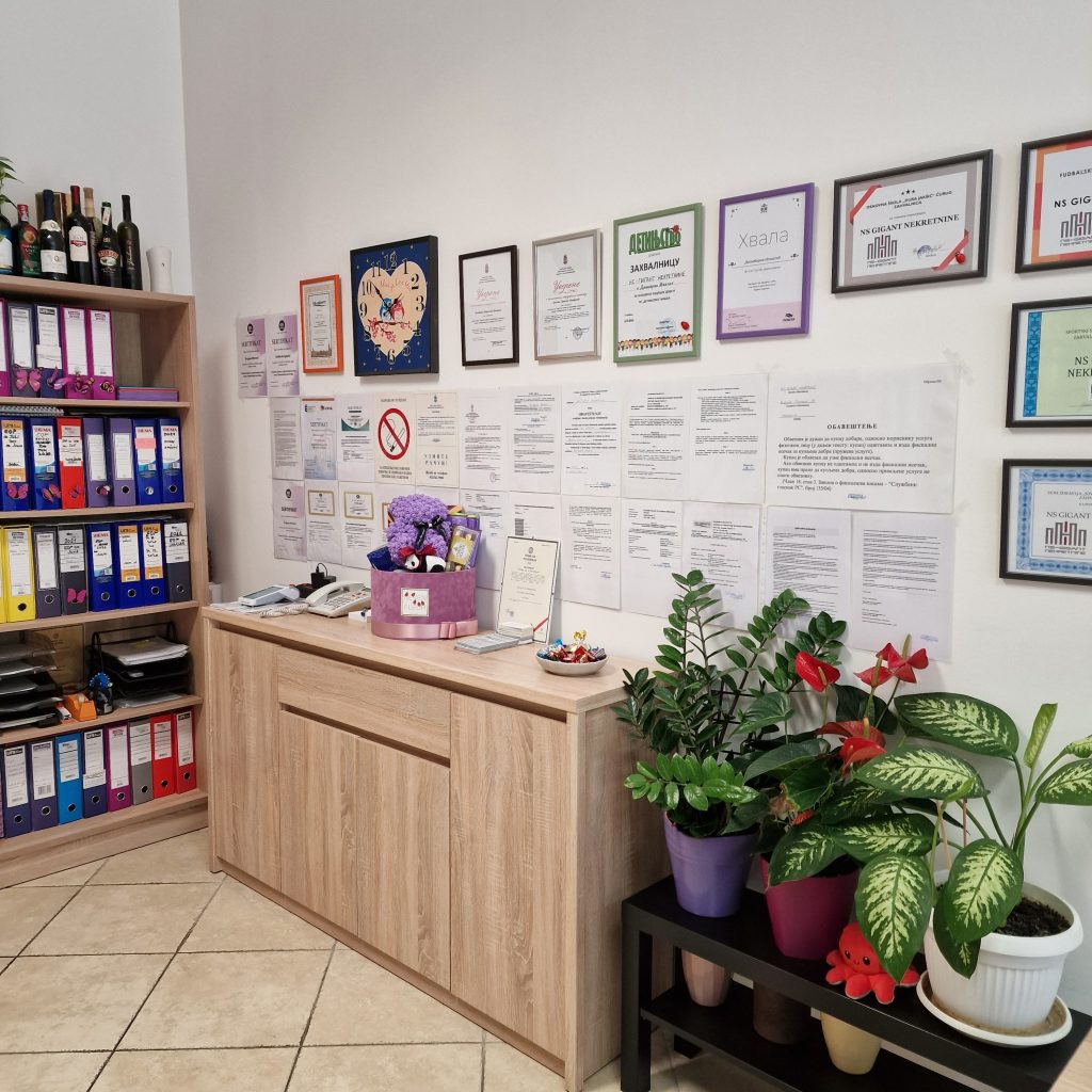 Ns gigant nekretnine prostor2