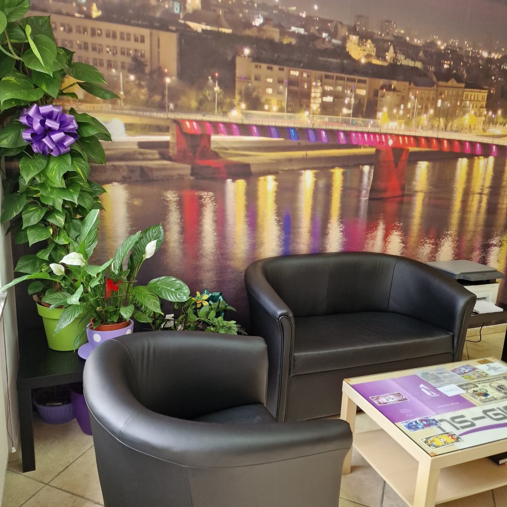 Ns gigant nekretnine prostor4