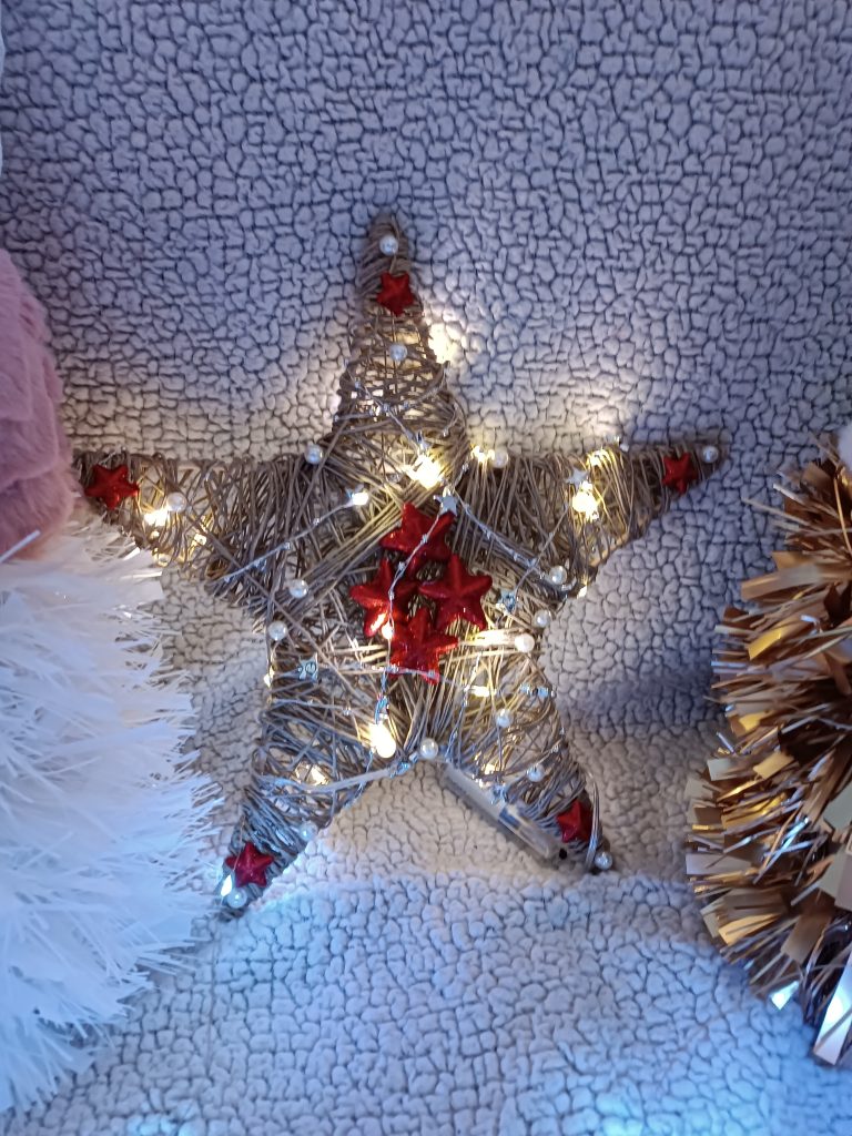 Danijela dekoracije 3