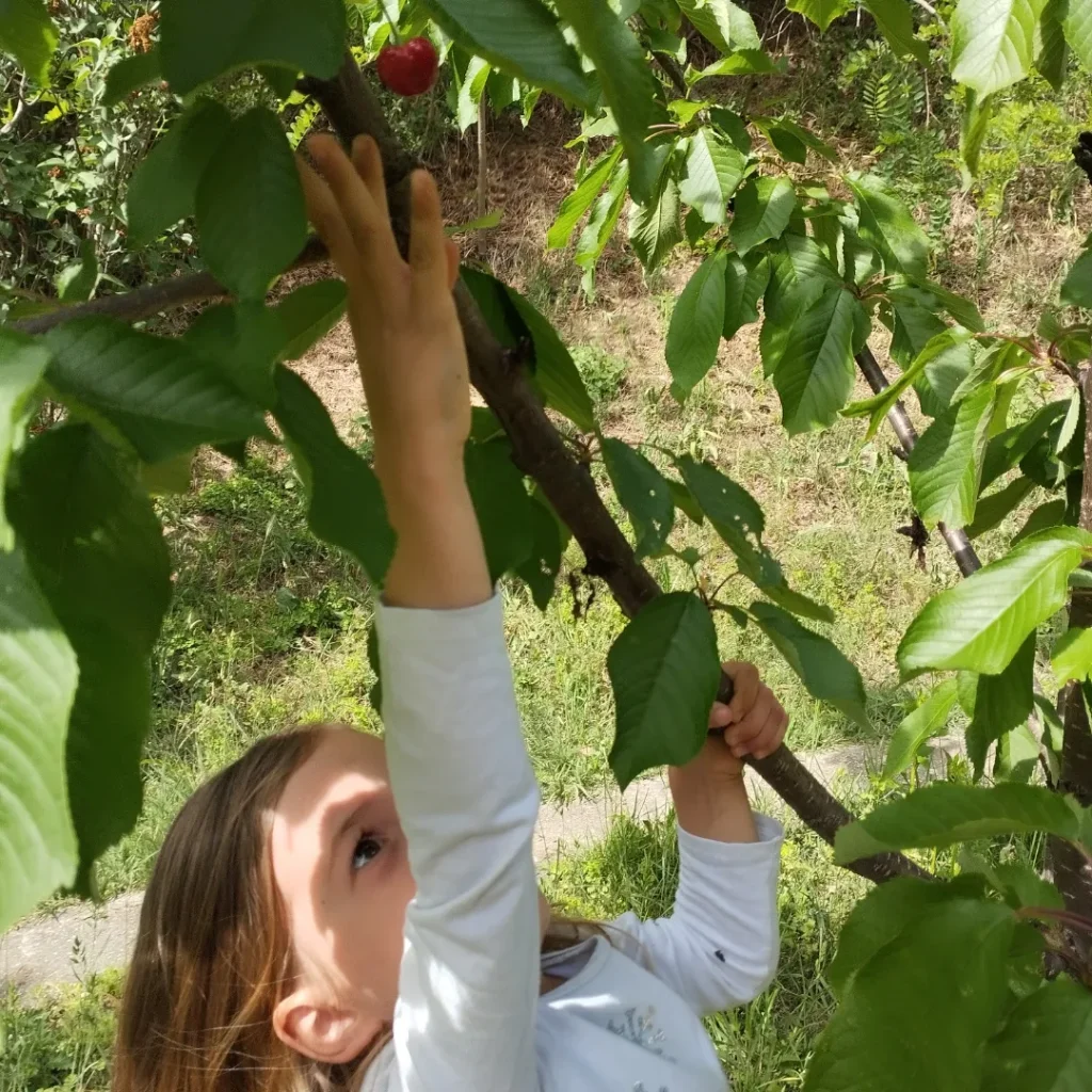 Img 20240506 160652 652