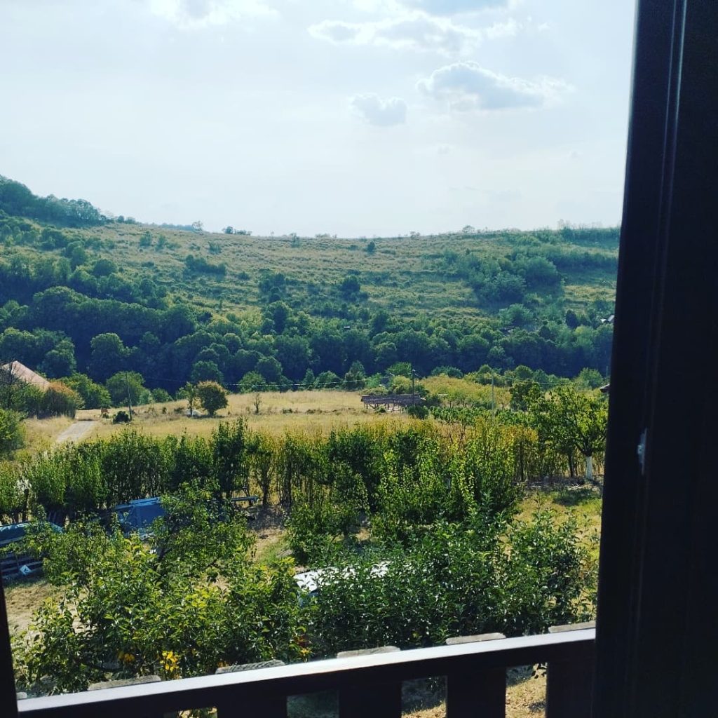 Img 20250709 101548 623