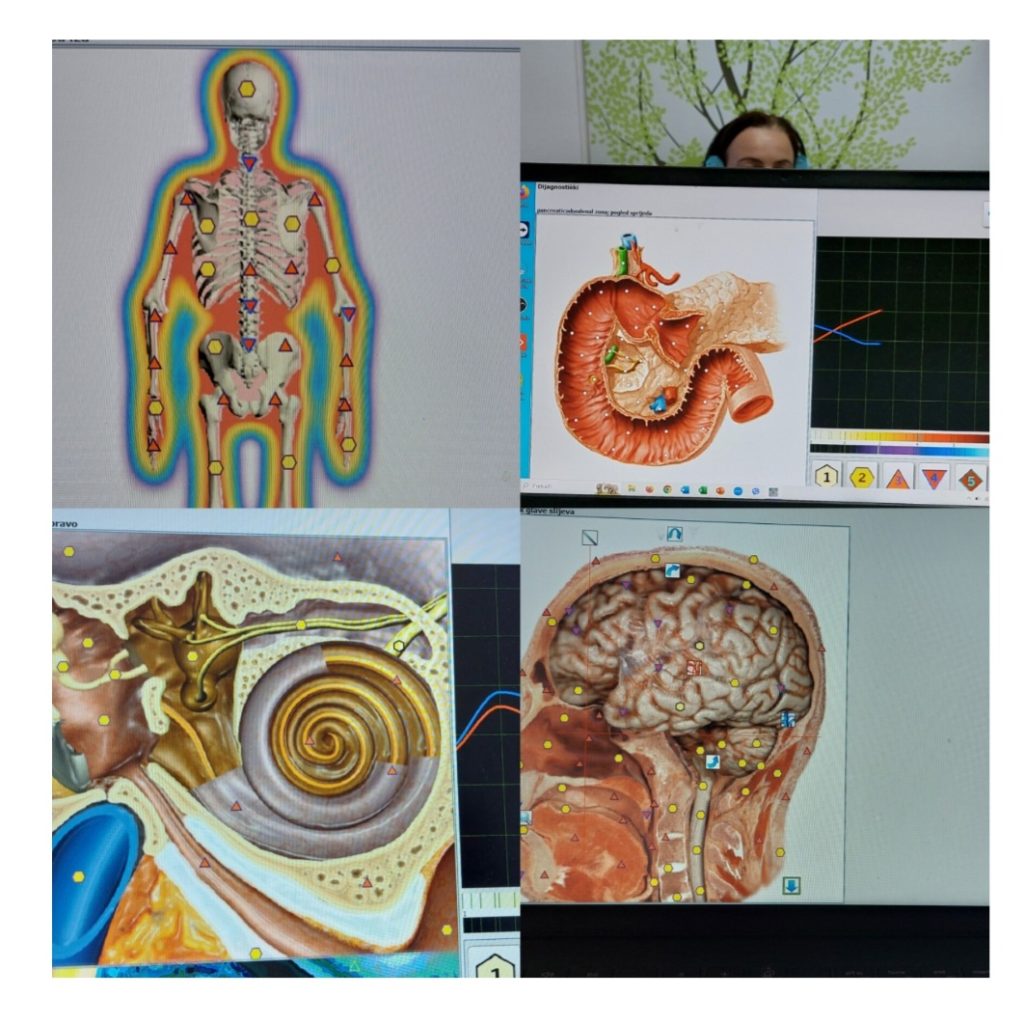 Screenshot 20250226 113653 gallery