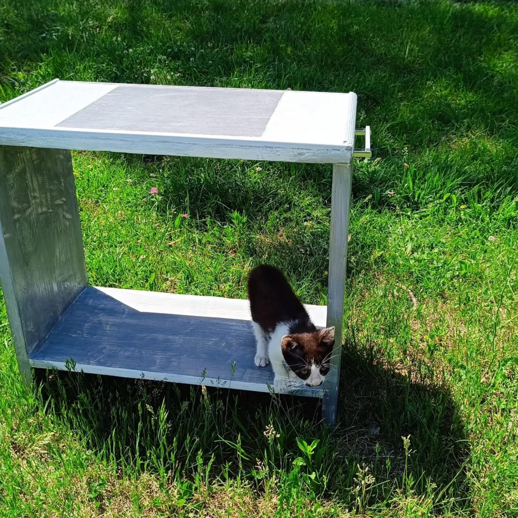 Whatsapp image 2024 05 19 at 09.51.16